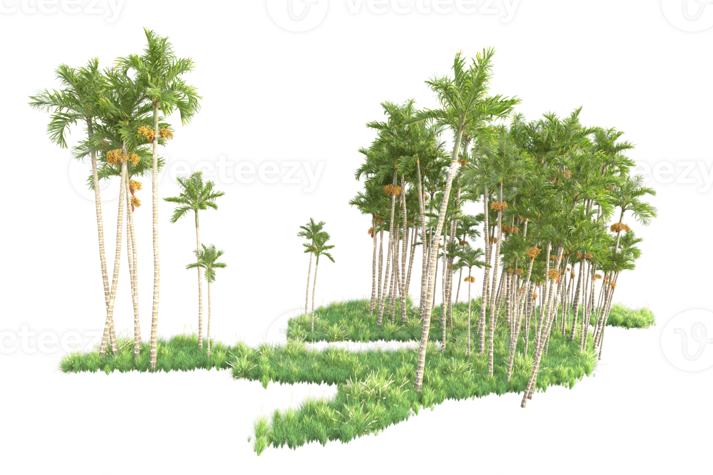 Tropical forest isolated on transparent background. 3d rendering - illustration png