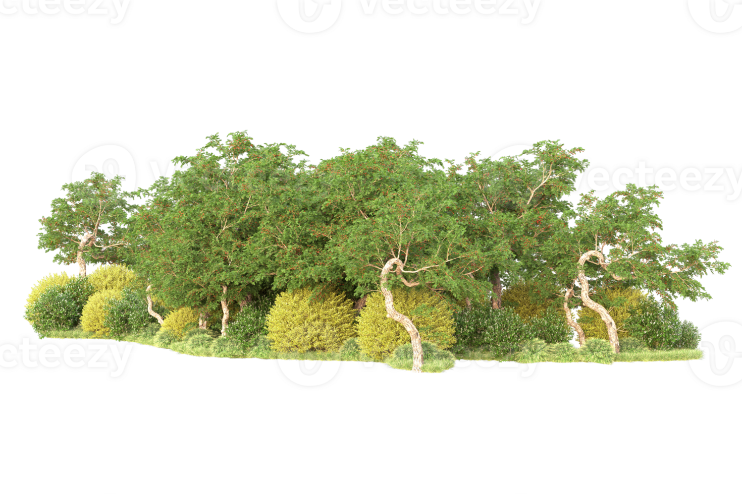 Tropical forest isolated on transparent background. 3d rendering - illustration png
