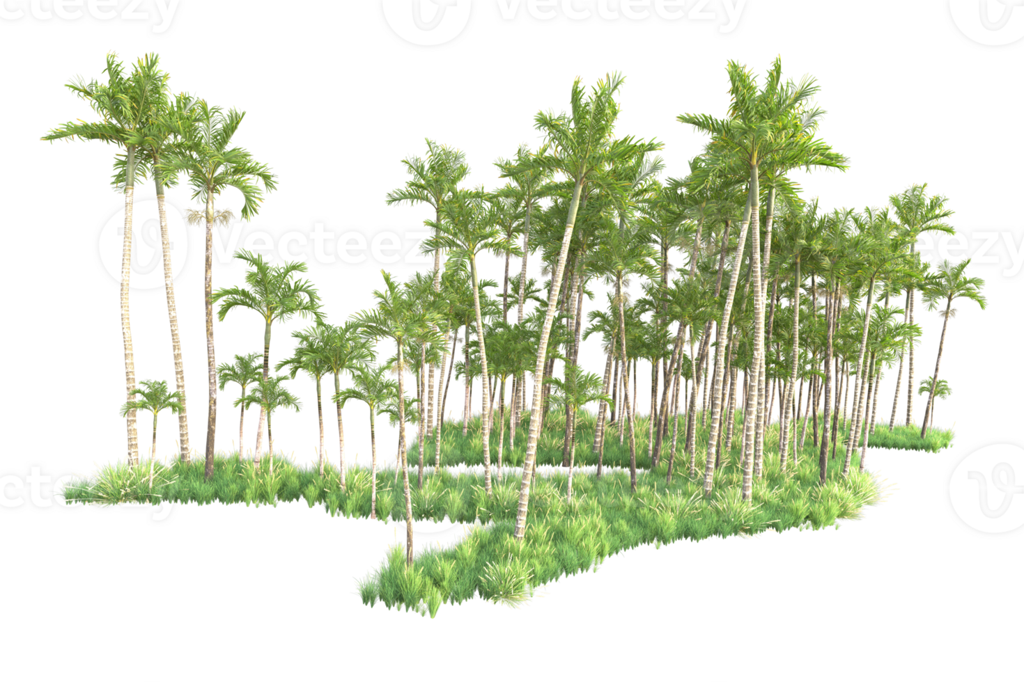 Tropical forest isolated on transparent background. 3d rendering - illustration png