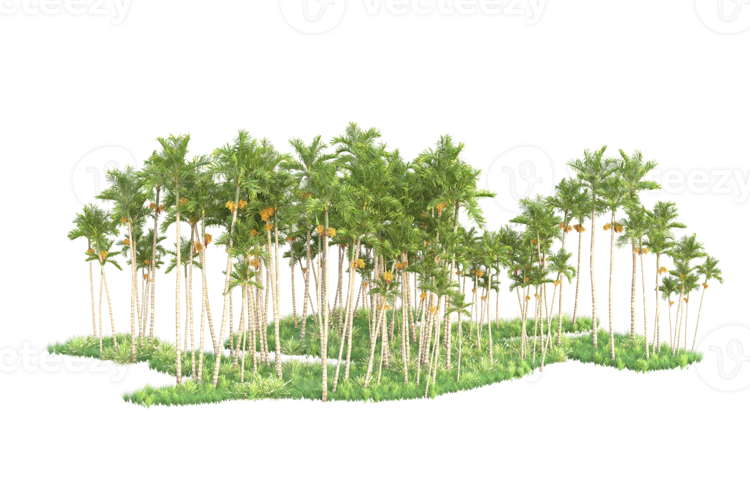 Tropical forest isolated on transparent background. 3d rendering - illustration png
