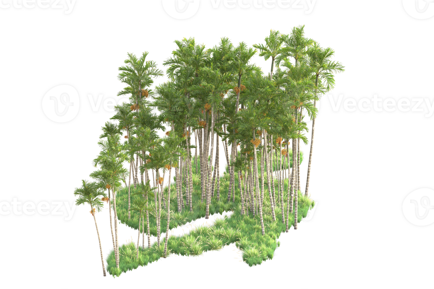 Tropical forest isolated on transparent background. 3d rendering - illustration png