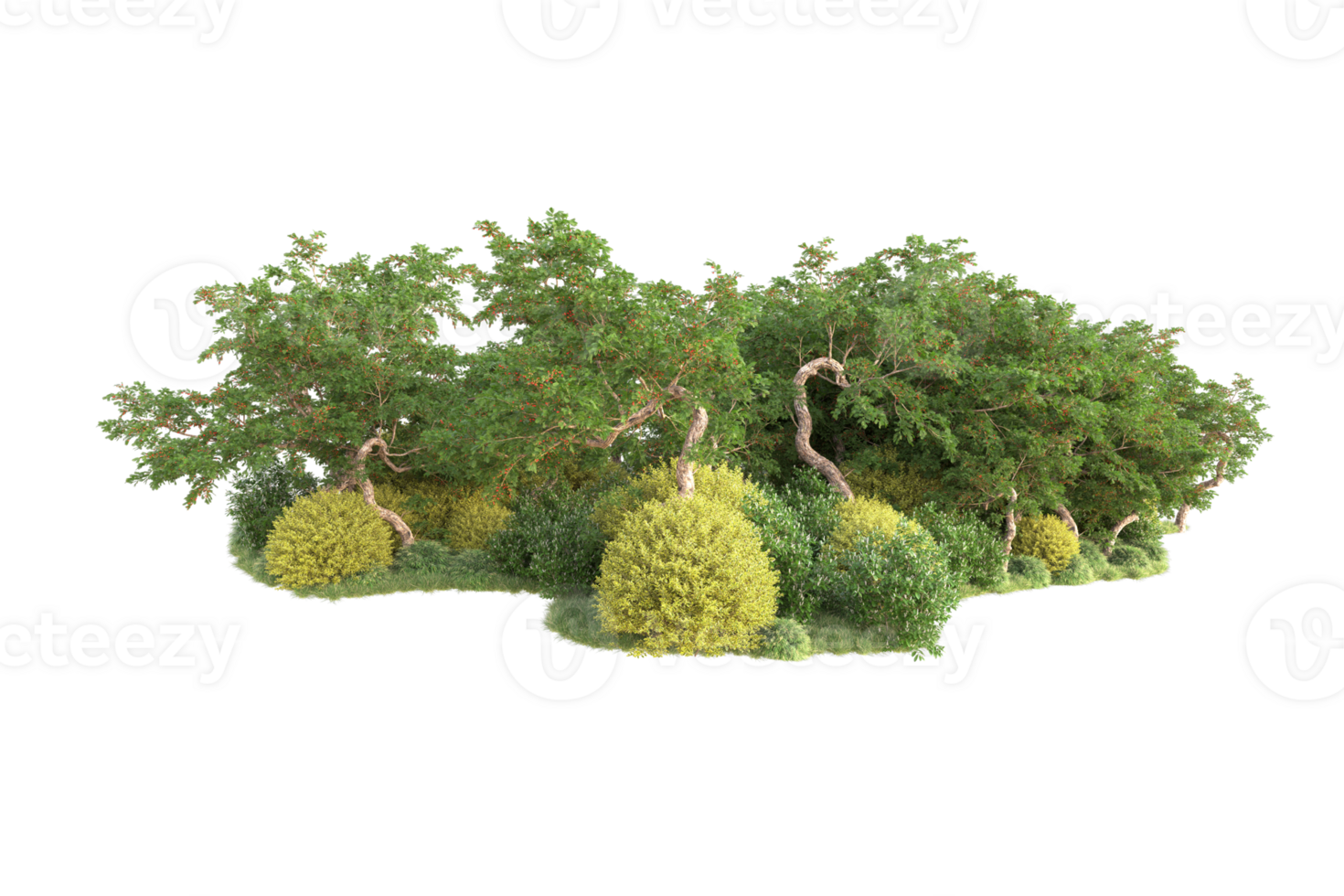 Tropical forest isolated on transparent background. 3d rendering - illustration png