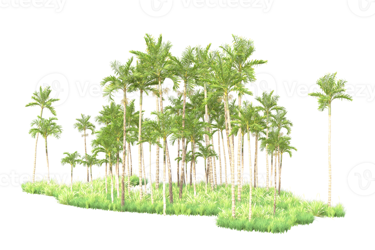 Tropical forest isolated on transparent background. 3d rendering - illustration png