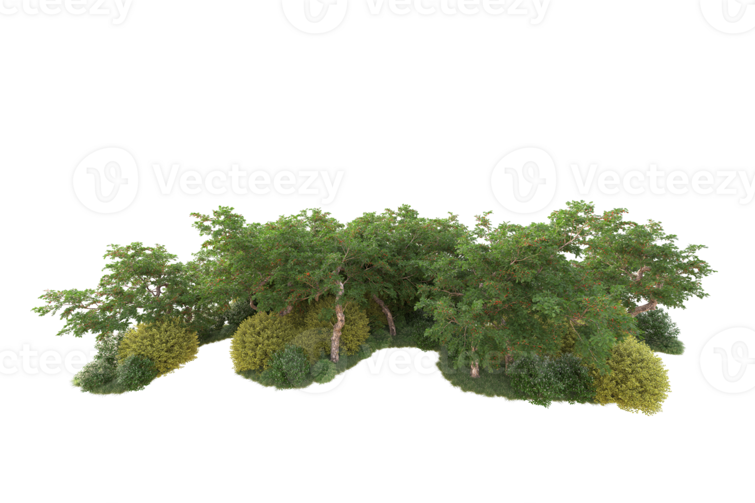 Tropical forest isolated on transparent background. 3d rendering - illustration png