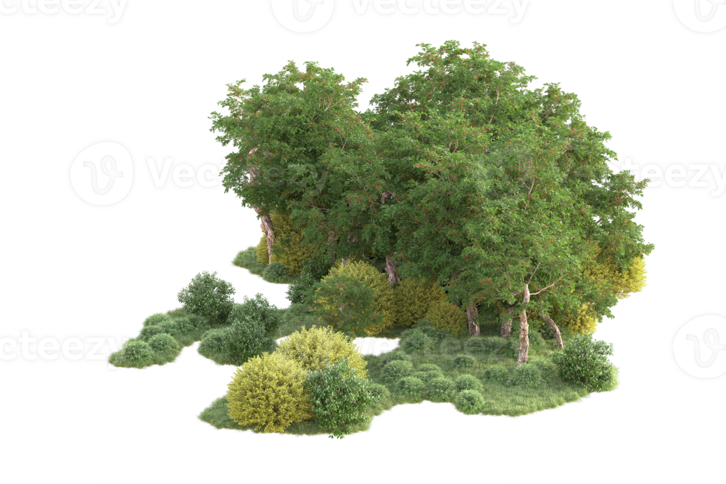 Tropical forest isolated on transparent background. 3d rendering - illustration png