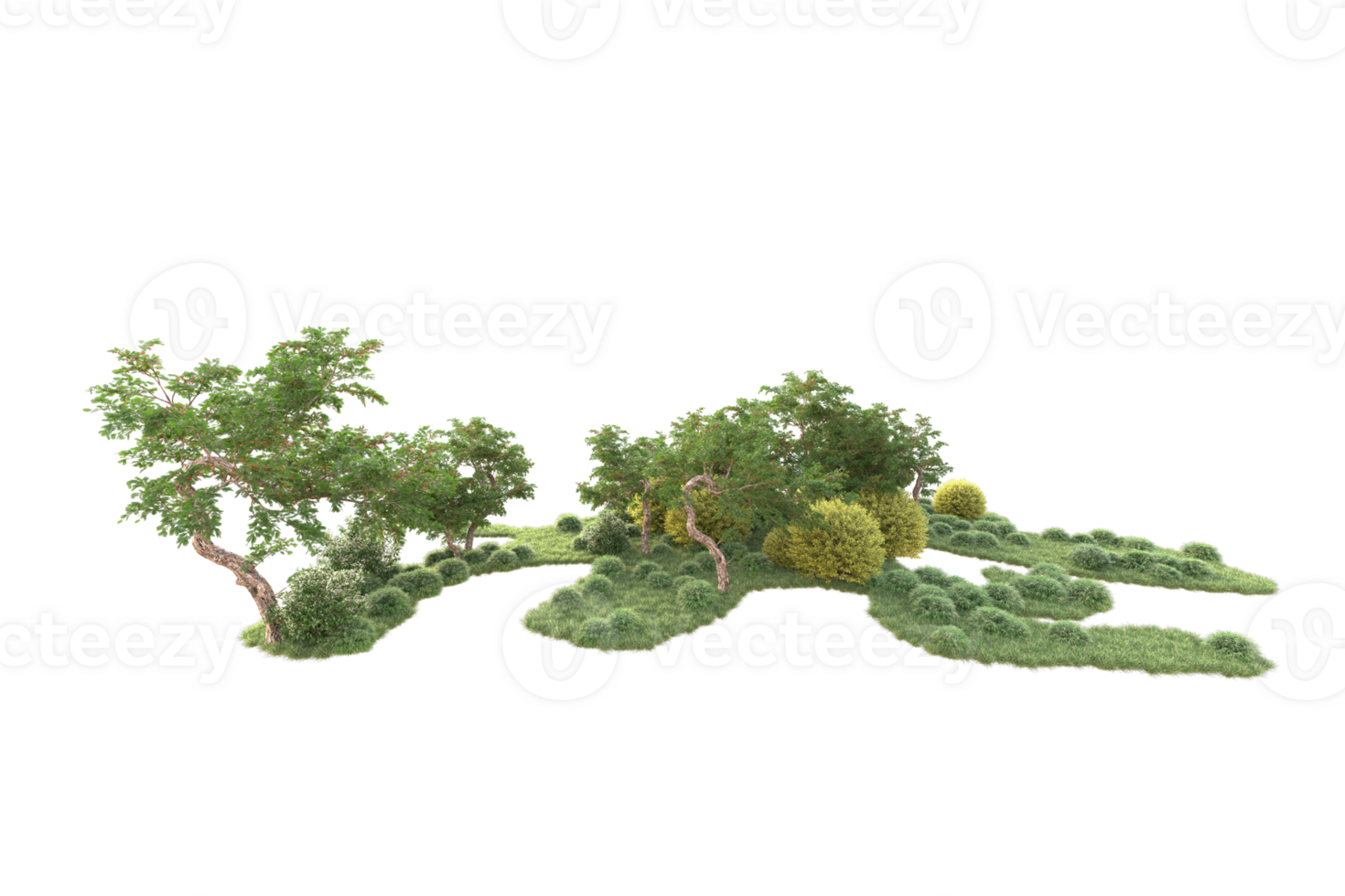 Tropical forest isolated on transparent background. 3d rendering - illustration png