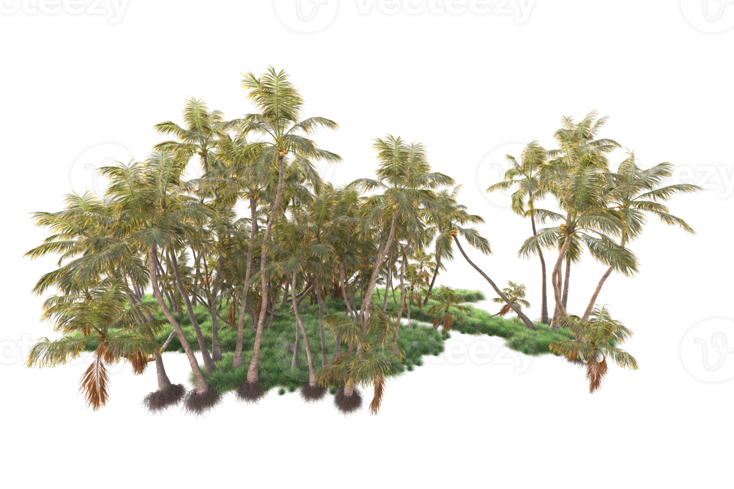 Tropical forest isolated on transparent background. 3d rendering - illustration png