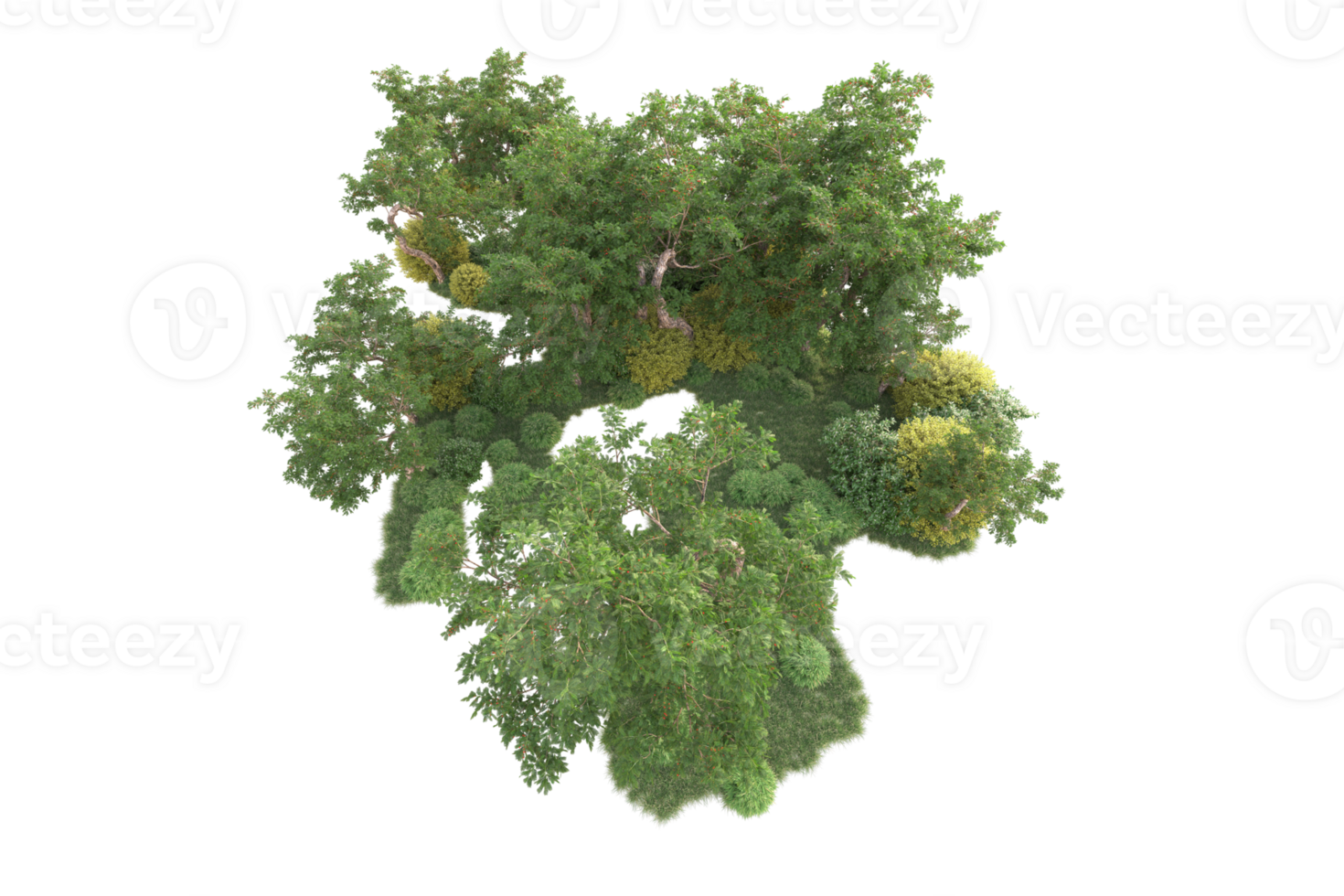 Tropical forest isolated on transparent background. 3d rendering - illustration png