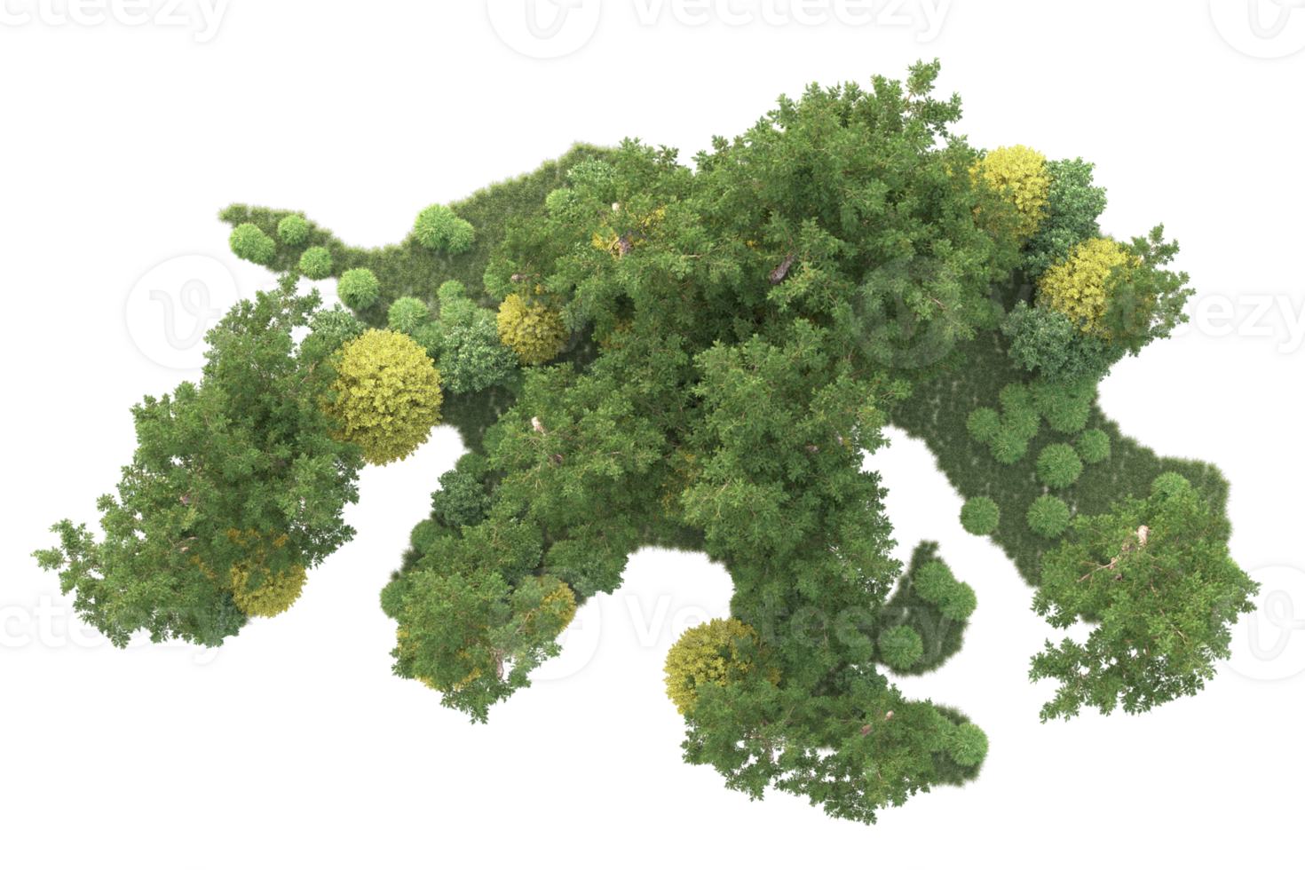 Tropical forest isolated on transparent background. 3d rendering - illustration png