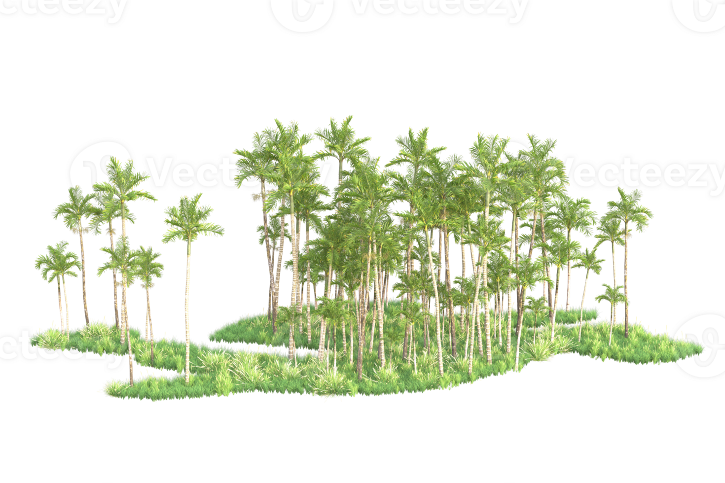 Tropical forest isolated on transparent background. 3d rendering - illustration png