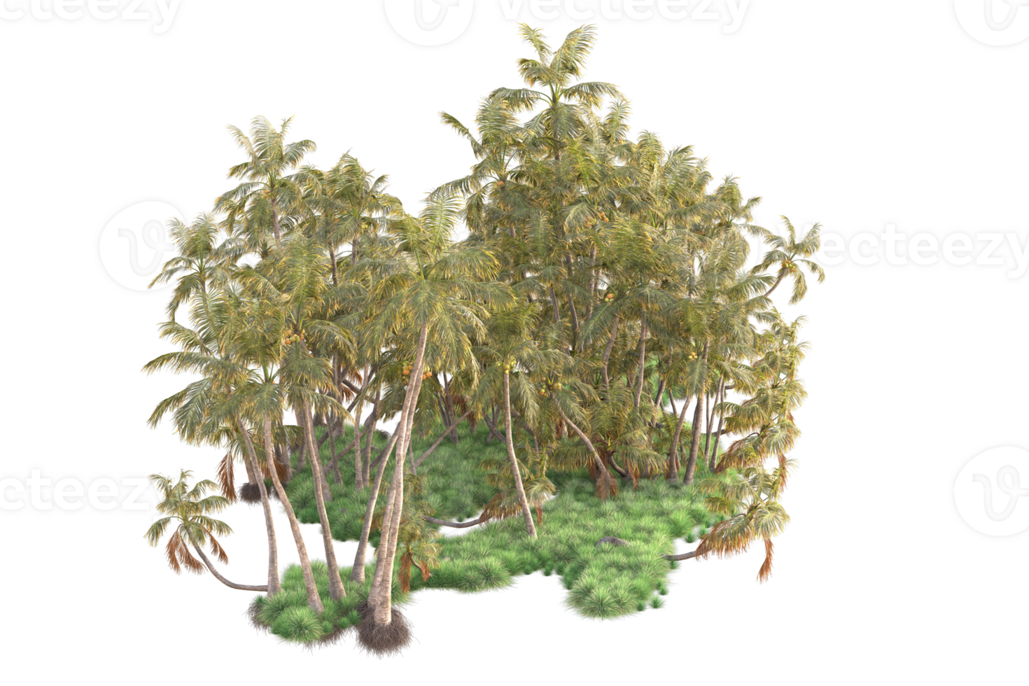 Tropical forest isolated on transparent background. 3d rendering - illustration png