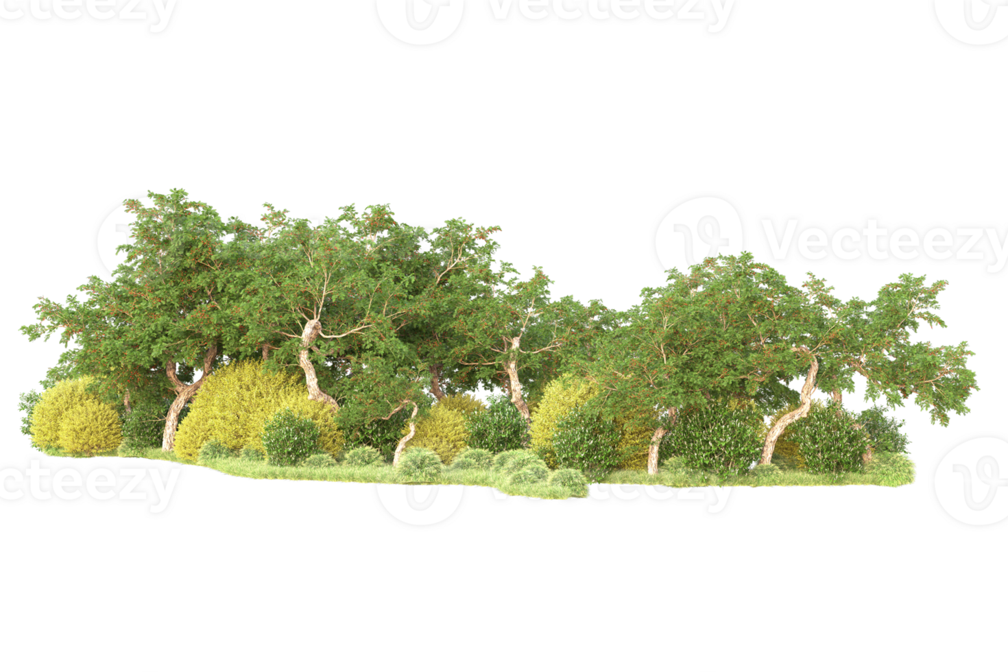 Tropical forest isolated on transparent background. 3d rendering - illustration png