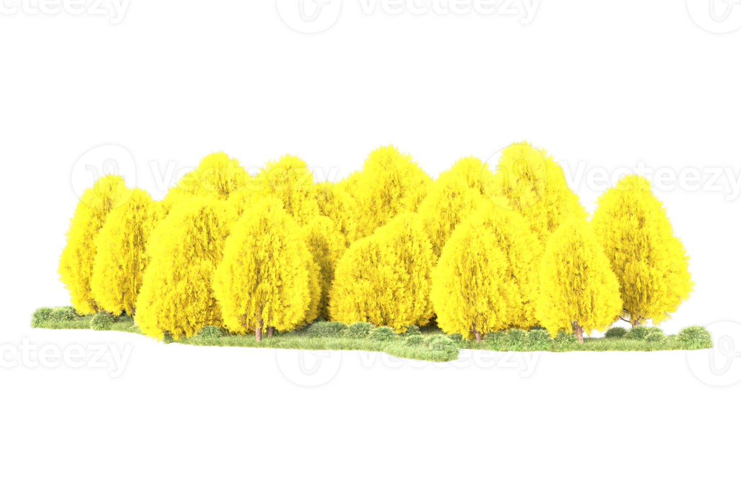 Tropical forest isolated on transparent background. 3d rendering - illustration png