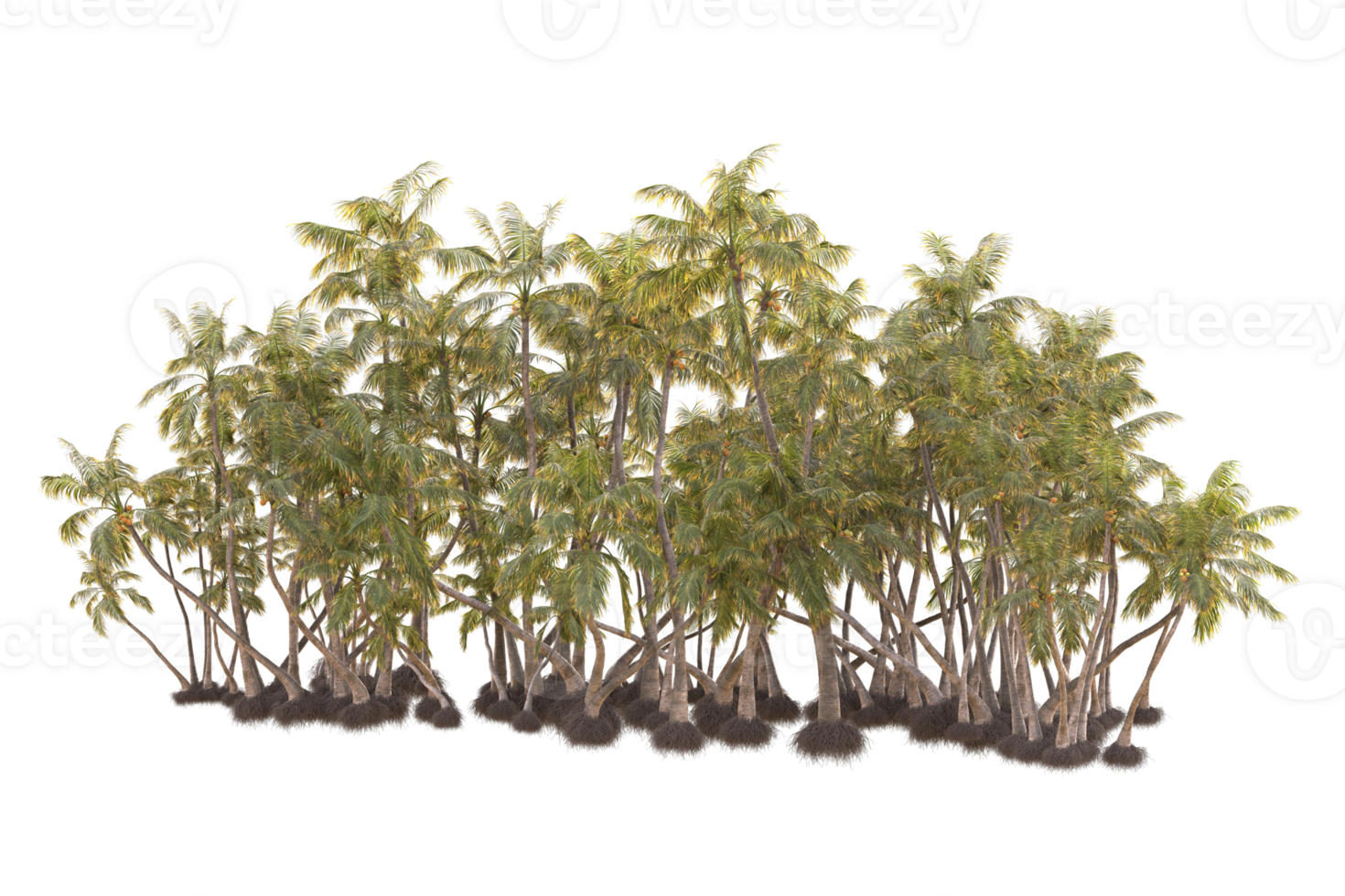 Tropical forest isolated on transparent background. 3d rendering - illustration png