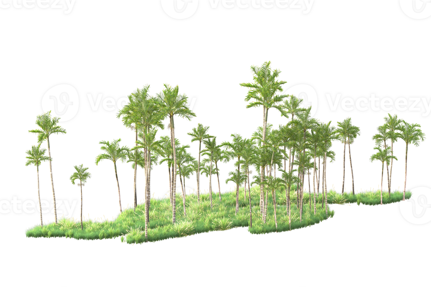 Tropical forest isolated on transparent background. 3d rendering - illustration png