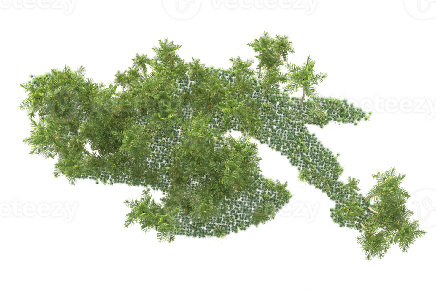 Tropical forest isolated on transparent background. 3d rendering - illustration png