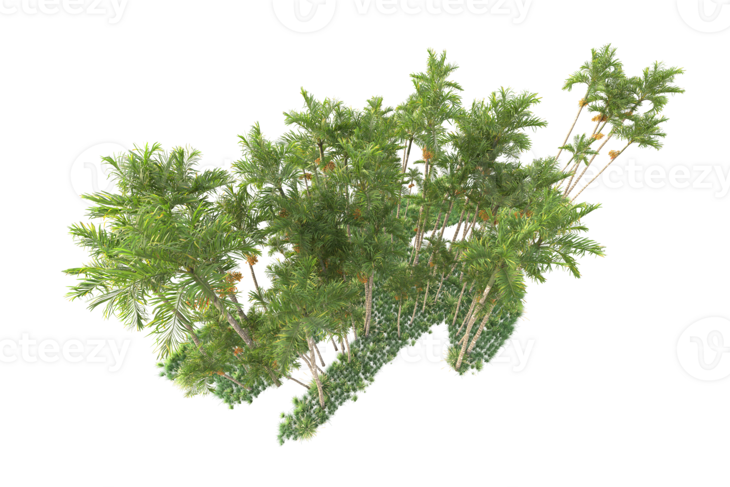 Tropical forest isolated on transparent background. 3d rendering - illustration png