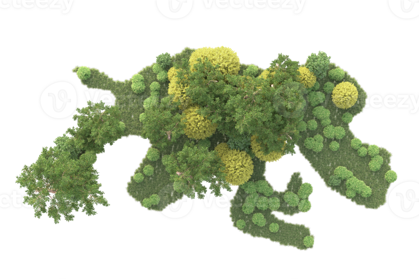 Tropical forest isolated on transparent background. 3d rendering - illustration png