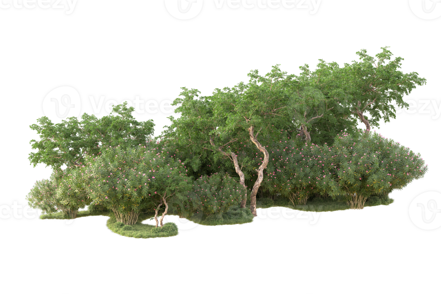 Tropical forest isolated on transparent background. 3d rendering - illustration png
