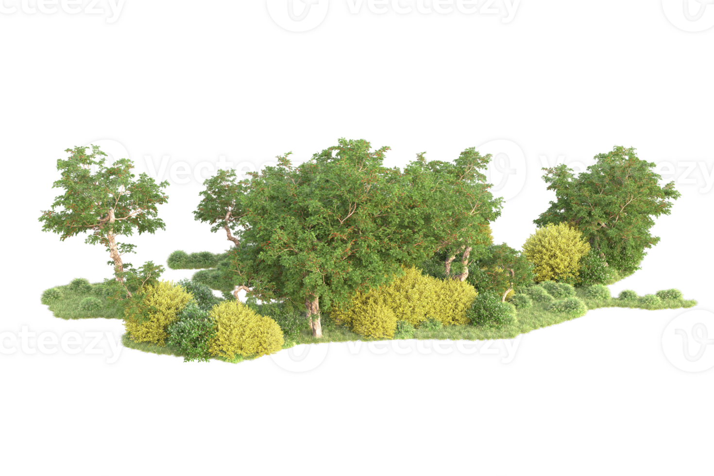 Tropical forest isolated on transparent background. 3d rendering - illustration png