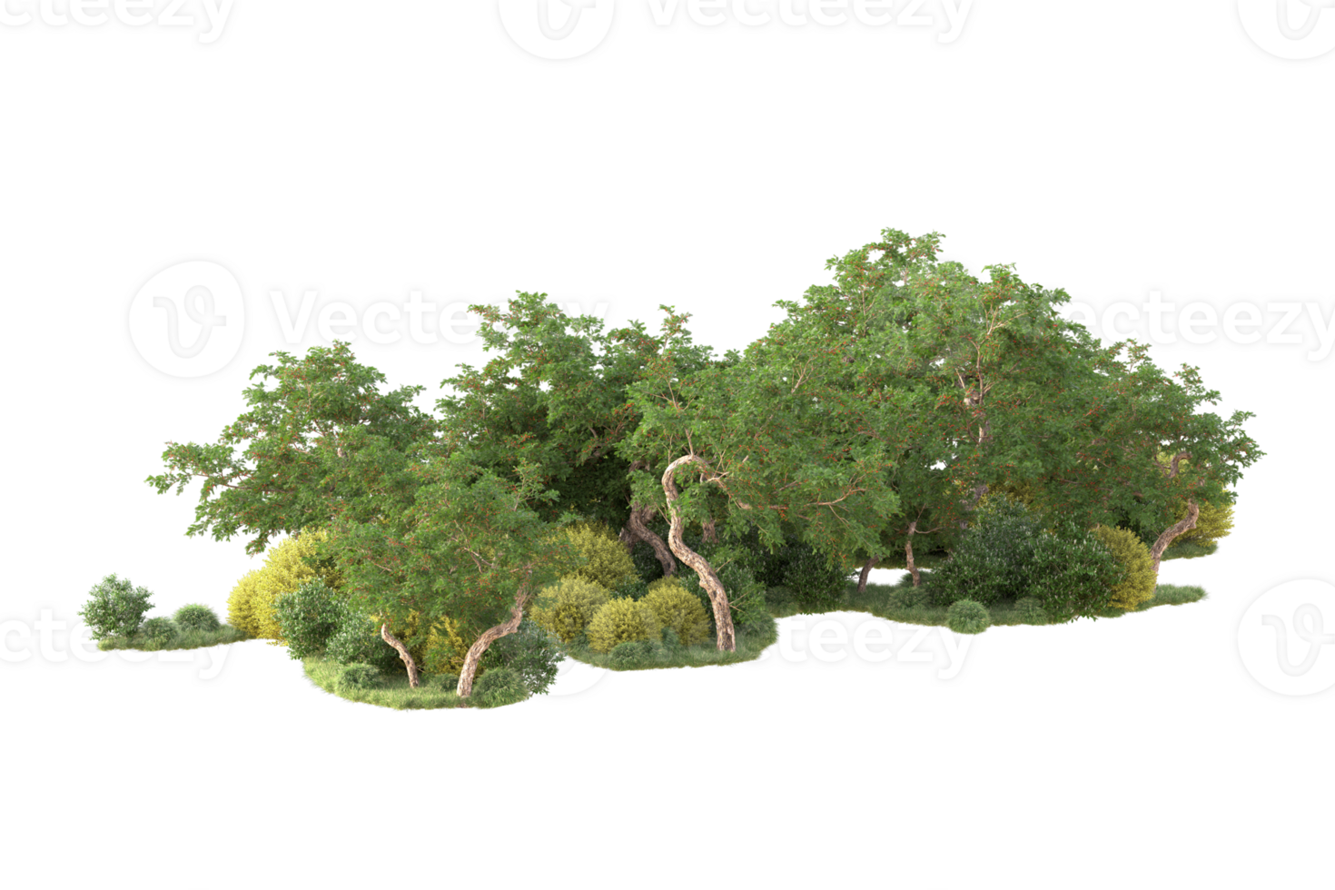Tropical forest isolated on transparent background. 3d rendering - illustration png