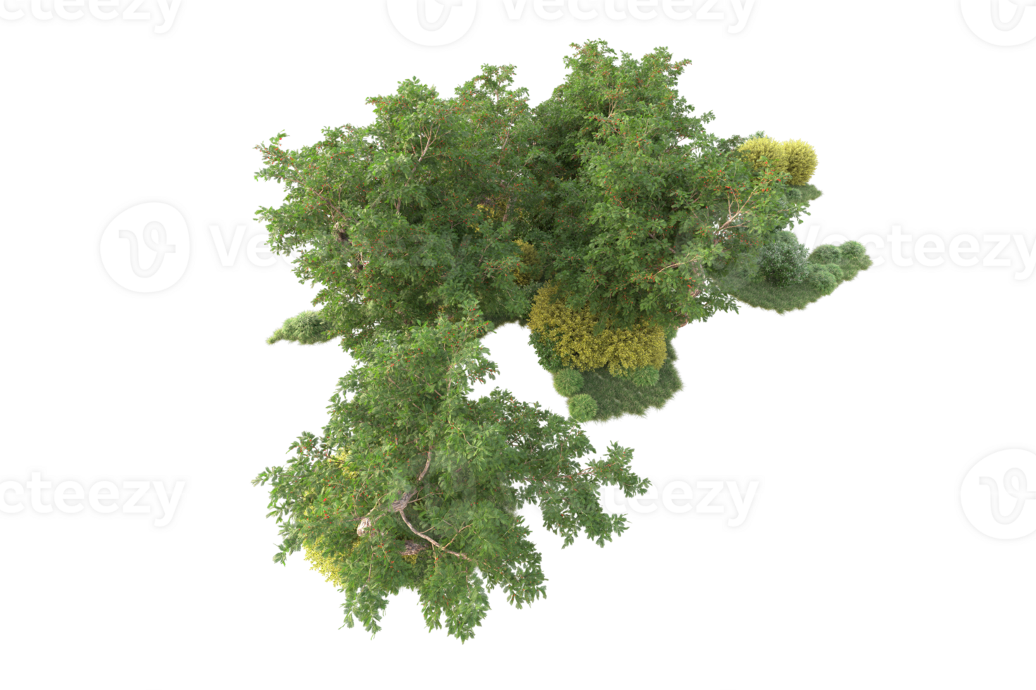 Tropical forest isolated on transparent background. 3d rendering - illustration png