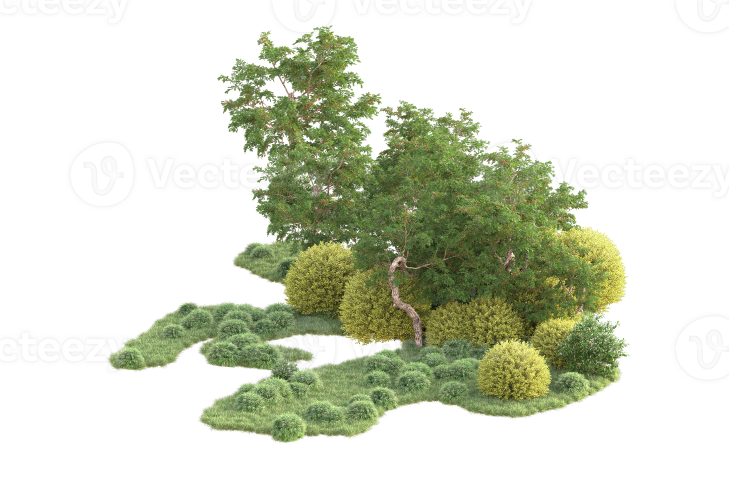 Tropical forest isolated on transparent background. 3d rendering - illustration png
