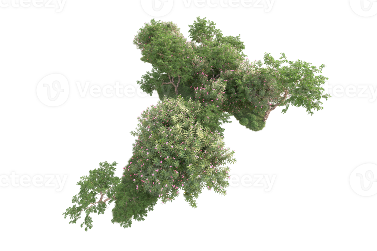 Tropical forest isolated on transparent background. 3d rendering - illustration png