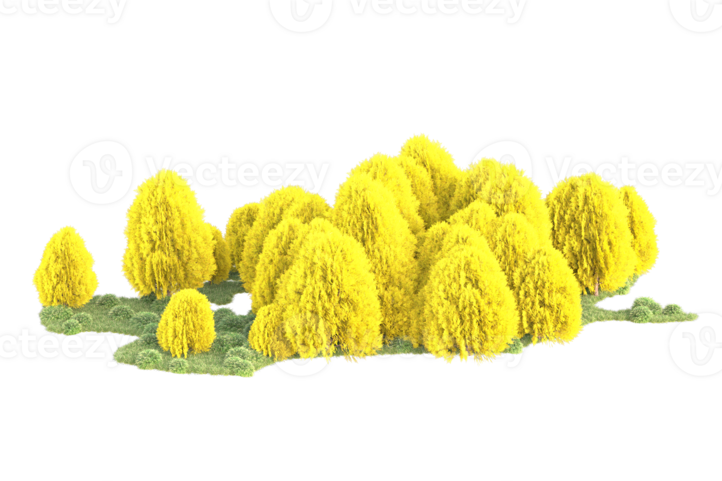 Tropical forest isolated on transparent background. 3d rendering - illustration png