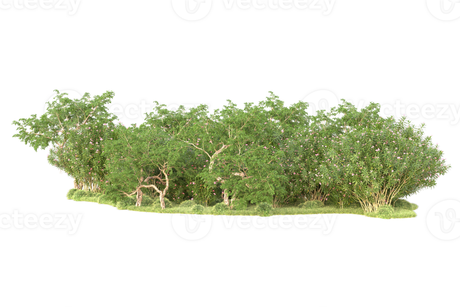 Tropical forest isolated on transparent background. 3d rendering - illustration png