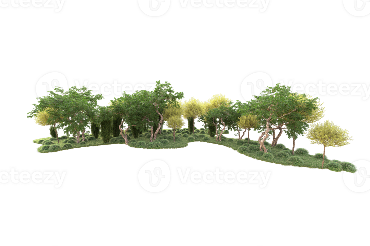 Tropical forest isolated on transparent background. 3d rendering - illustration png