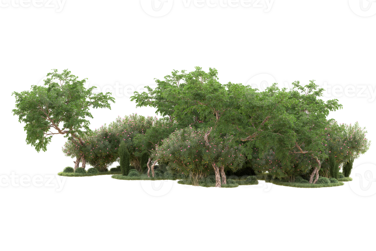 Tropical forest isolated on transparent background. 3d rendering - illustration png