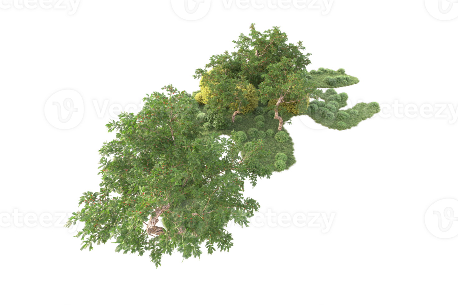 Tropical forest isolated on transparent background. 3d rendering - illustration png