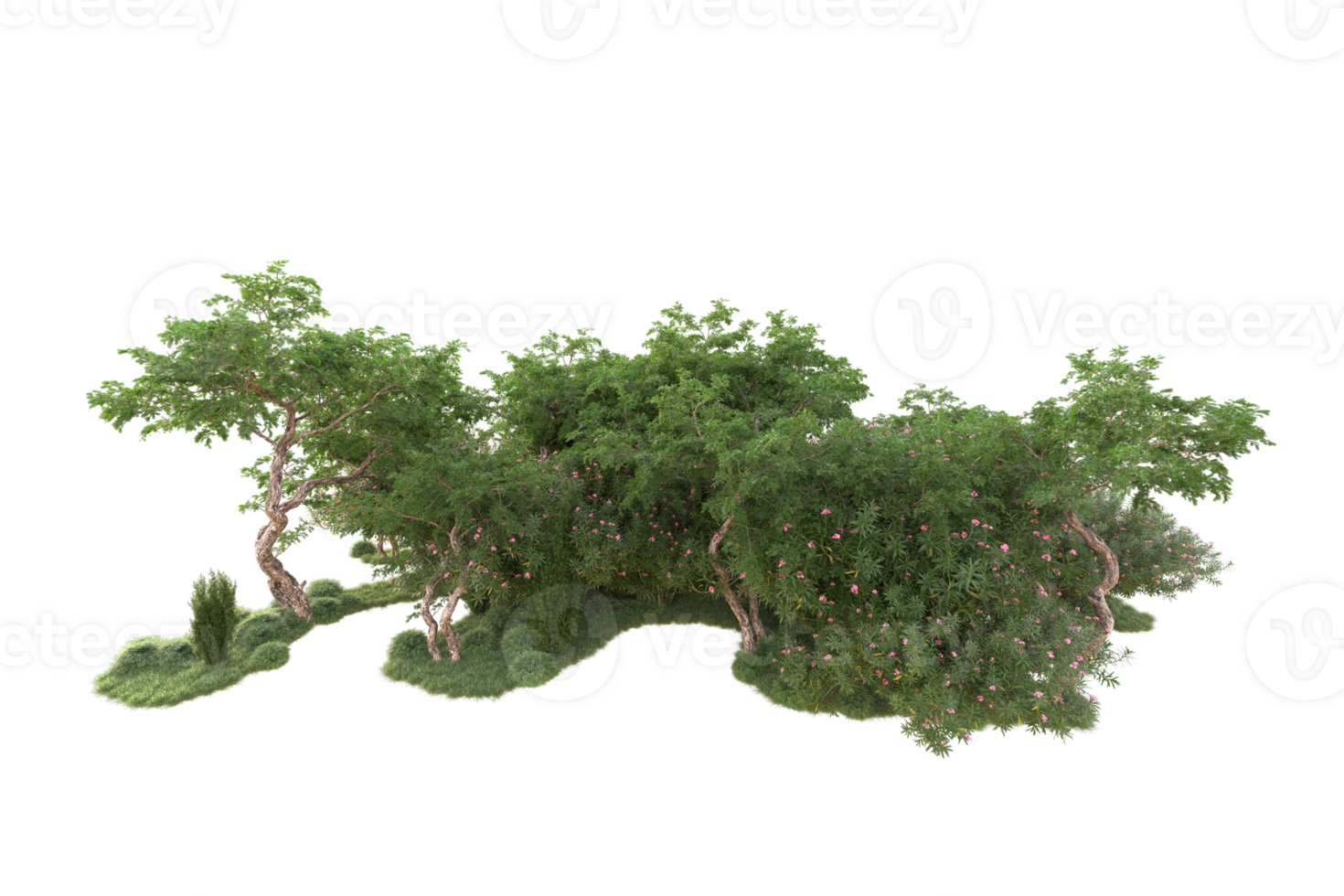 Tropical forest isolated on transparent background. 3d rendering - illustration png