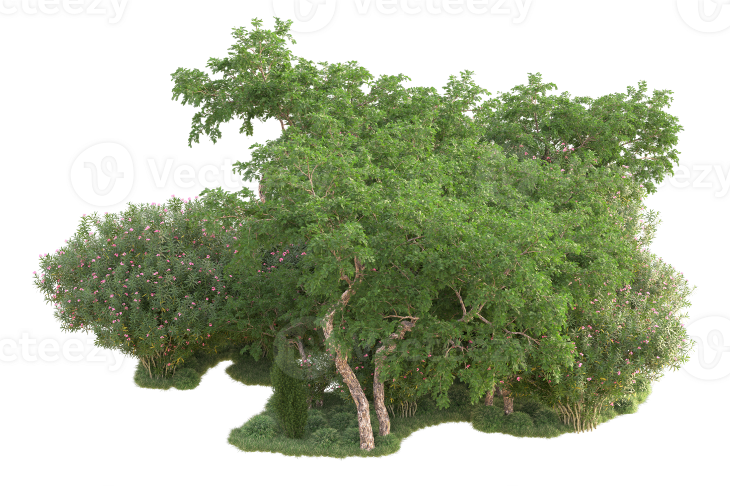 Tropical forest isolated on transparent background. 3d rendering - illustration png