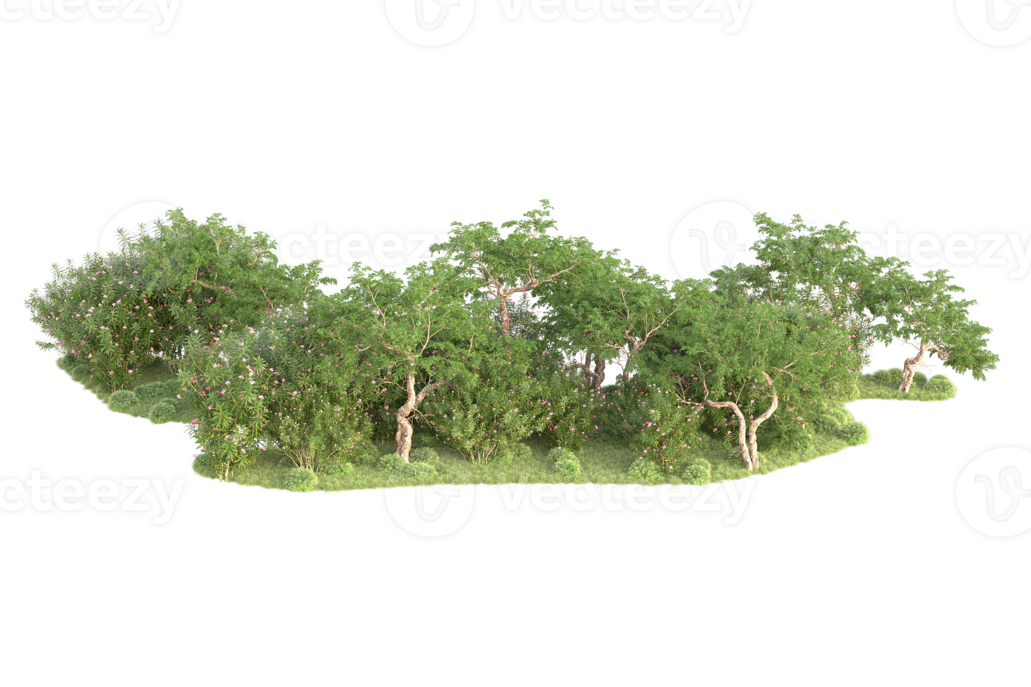 Tropical forest isolated on transparent background. 3d rendering - illustration png