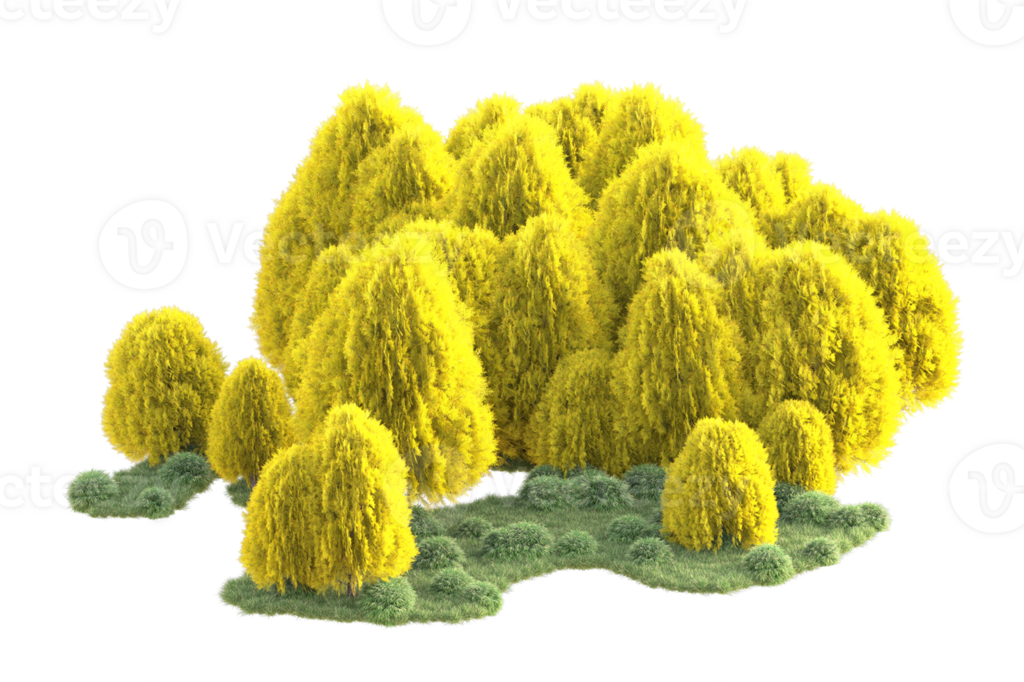 Tropical forest isolated on transparent background. 3d rendering - illustration png