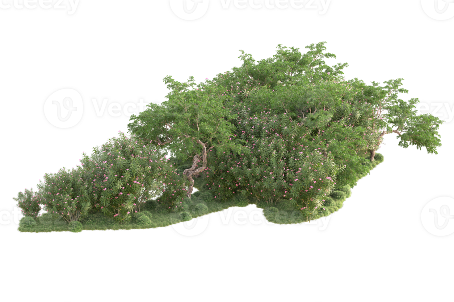 Tropical forest isolated on transparent background. 3d rendering - illustration png