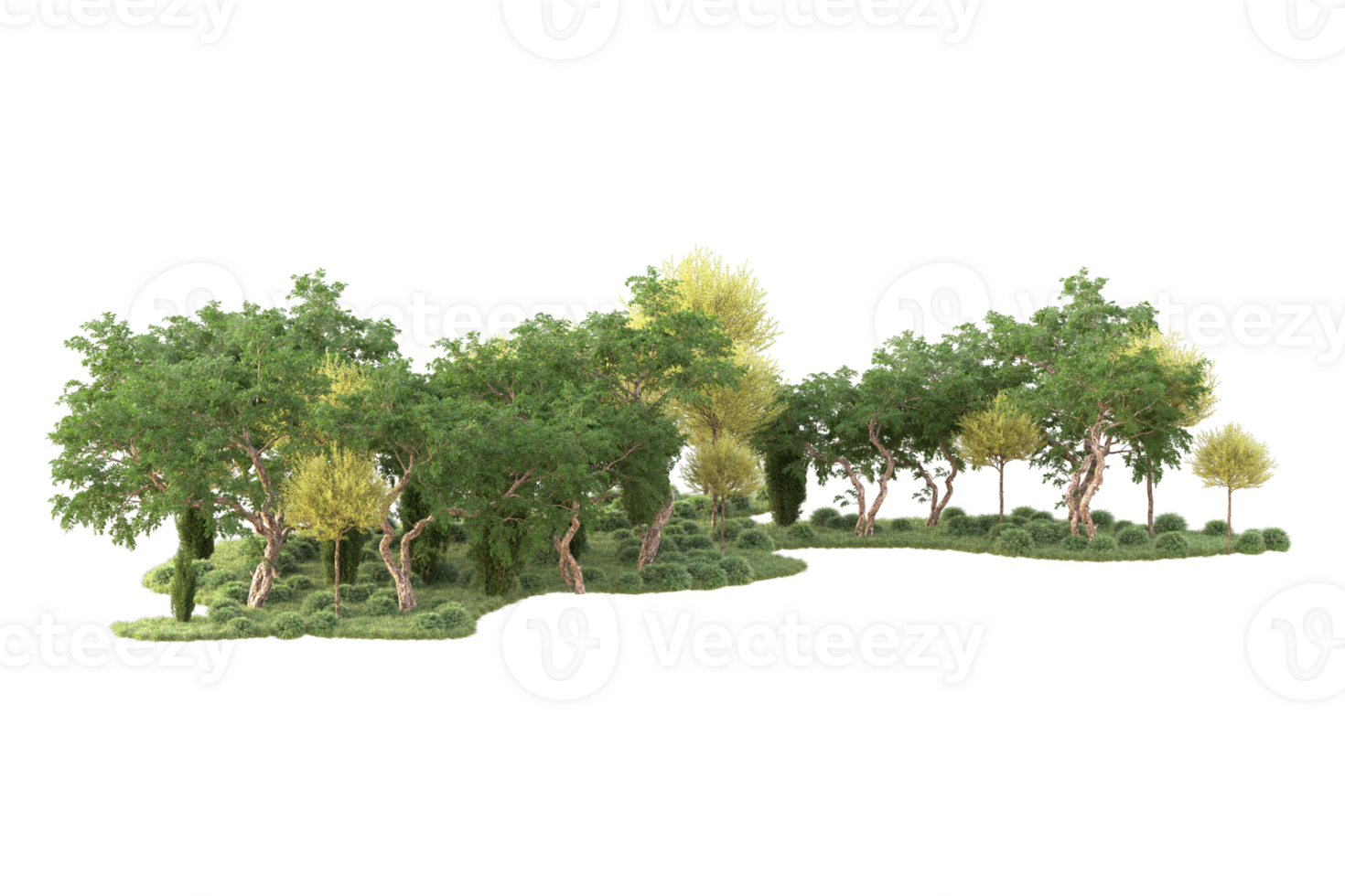 Tropical forest isolated on transparent background. 3d rendering - illustration png