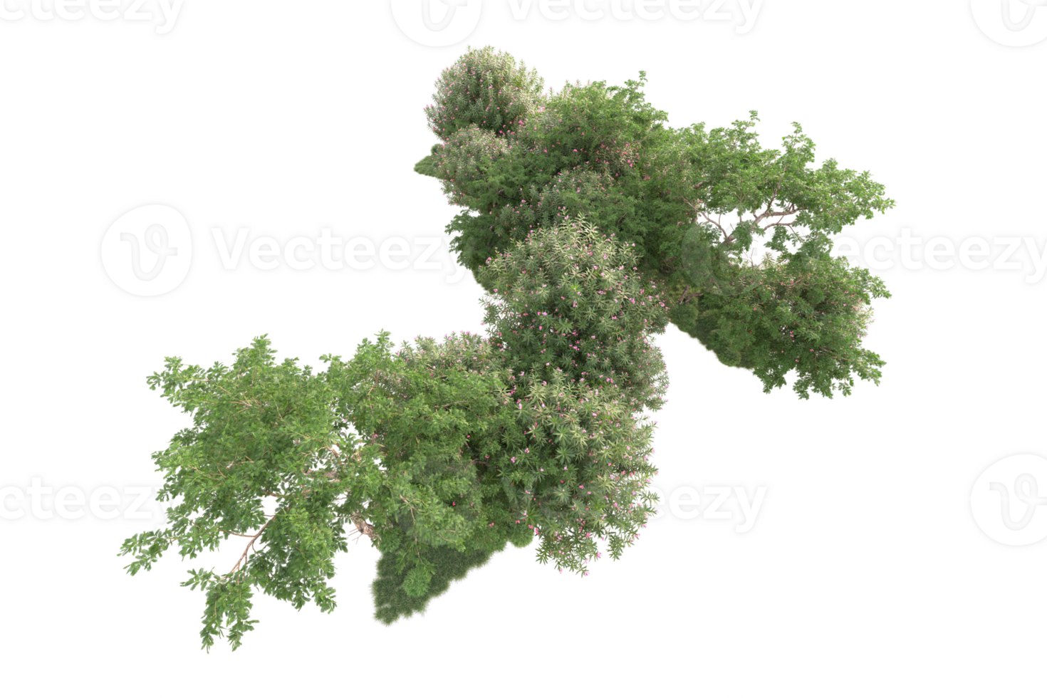 Tropical forest isolated on transparent background. 3d rendering - illustration png