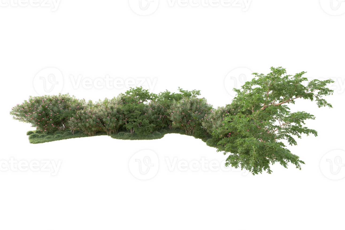 Tropical forest isolated on transparent background. 3d rendering - illustration png