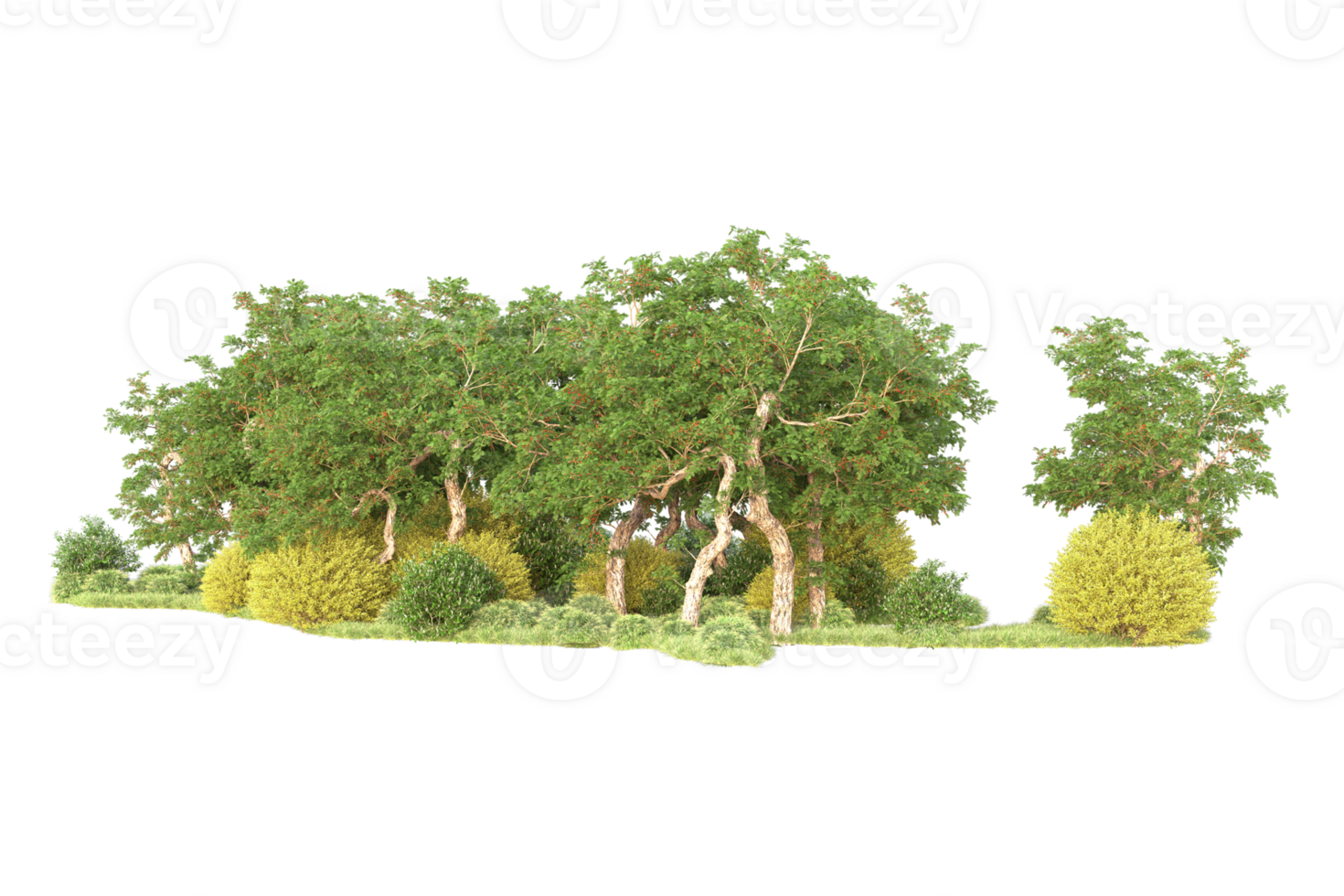 Tropical forest isolated on transparent background. 3d rendering - illustration png