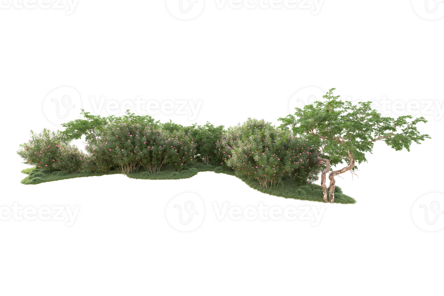 Tropical forest isolated on transparent background. 3d rendering - illustration png