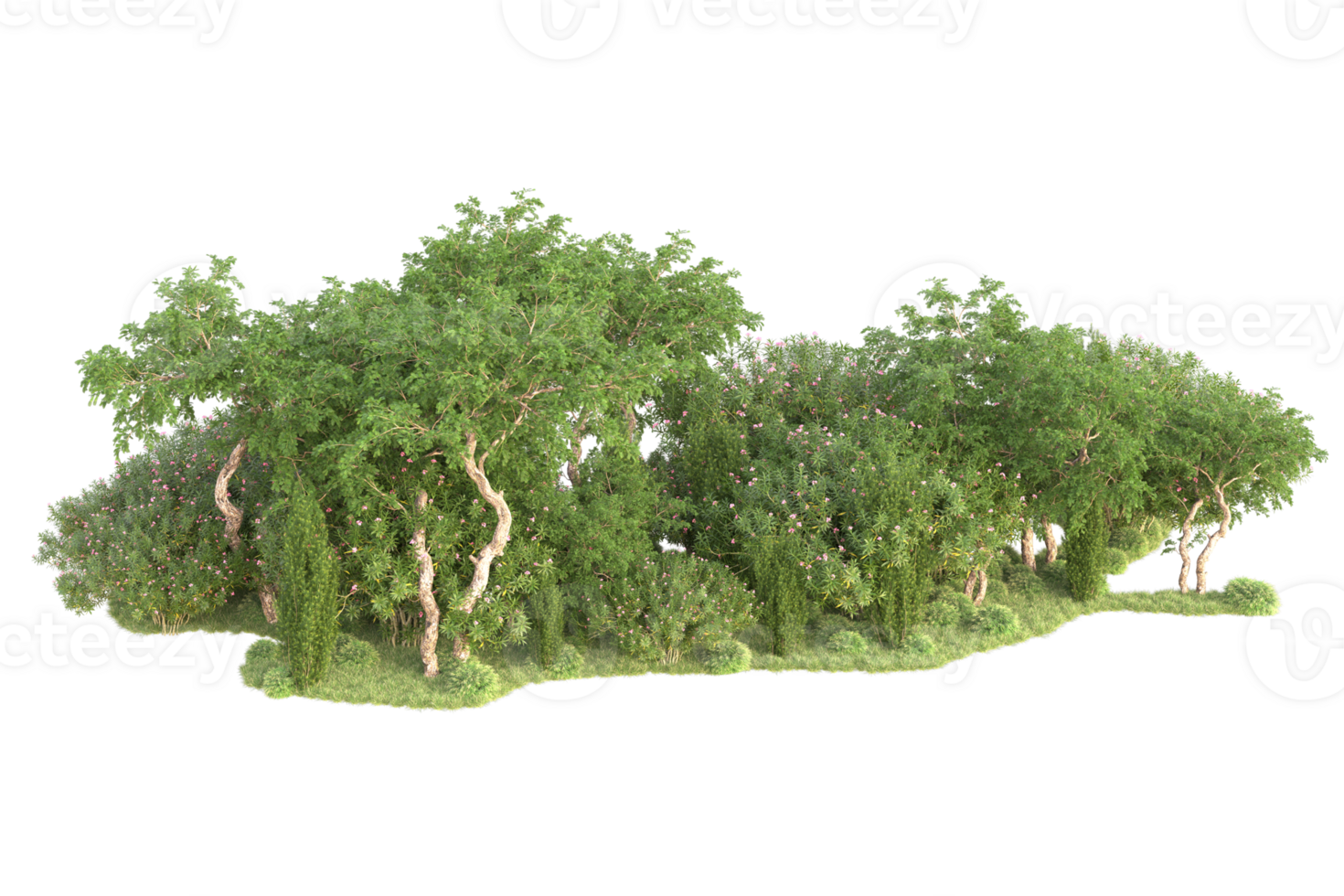 Tropical forest isolated on transparent background. 3d rendering - illustration png