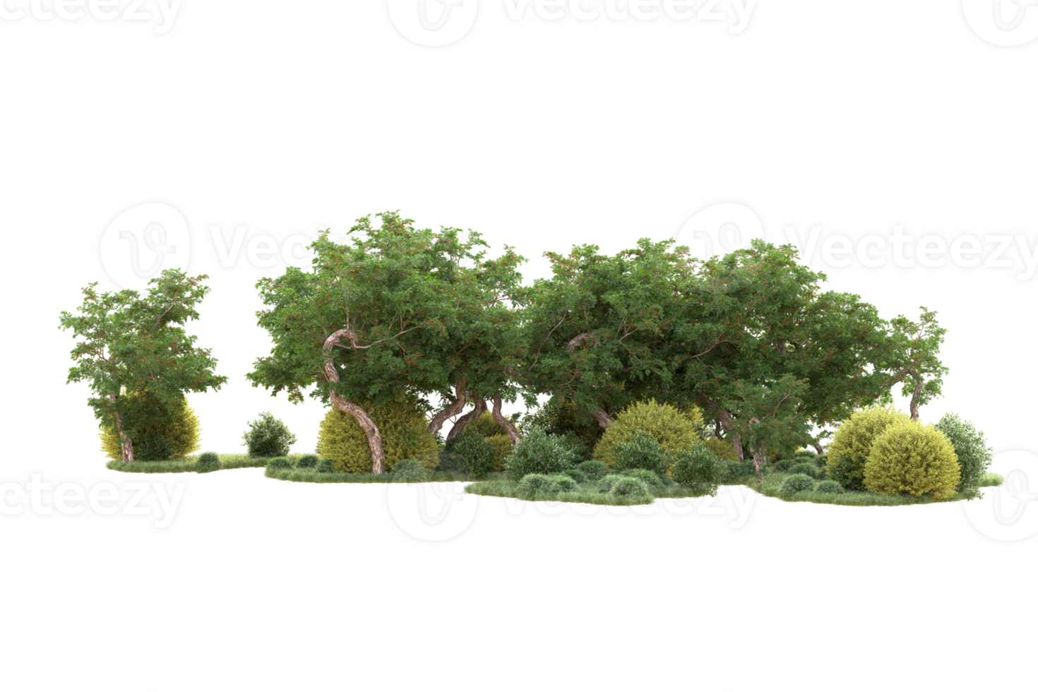 Tropical forest isolated on transparent background. 3d rendering - illustration png