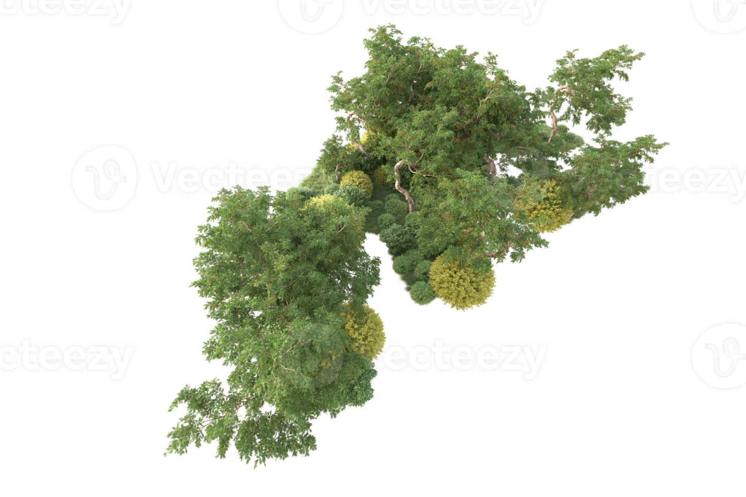 Tropical forest isolated on transparent background. 3d rendering - illustration png