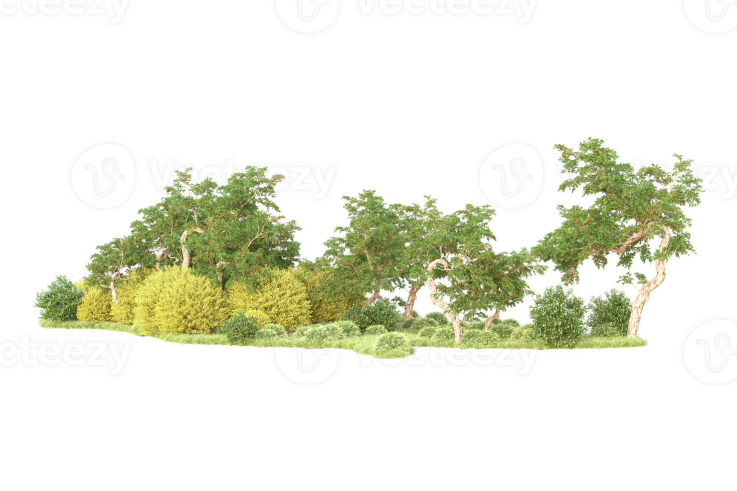 Tropical forest isolated on transparent background. 3d rendering - illustration png
