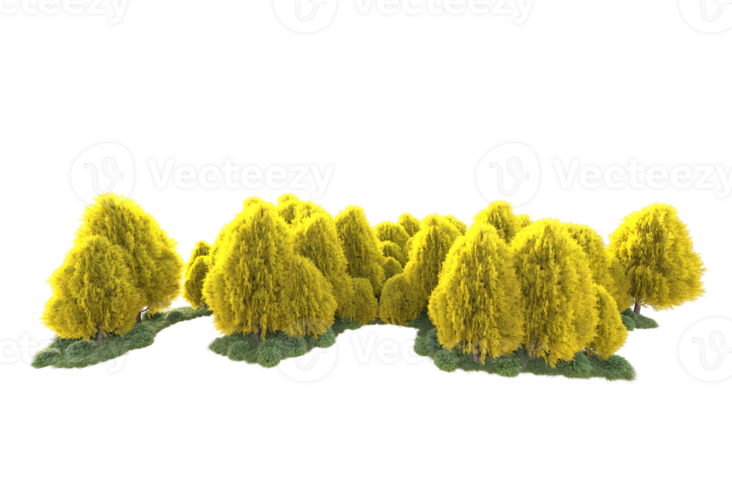 Tropical forest isolated on transparent background. 3d rendering - illustration png