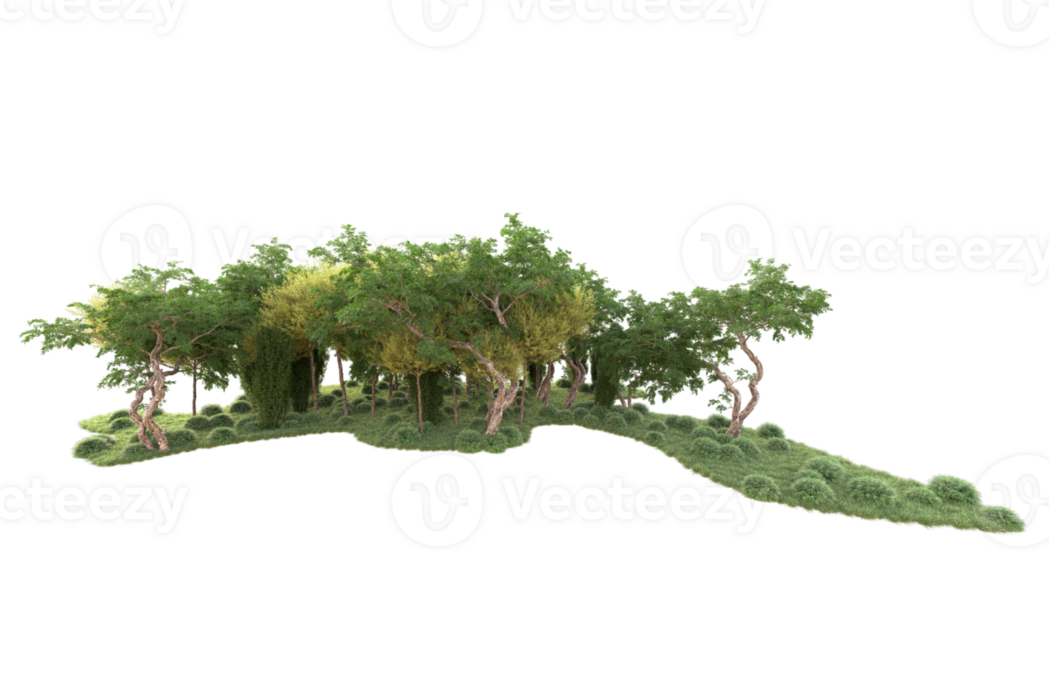 Tropical forest isolated on transparent background. 3d rendering - illustration png