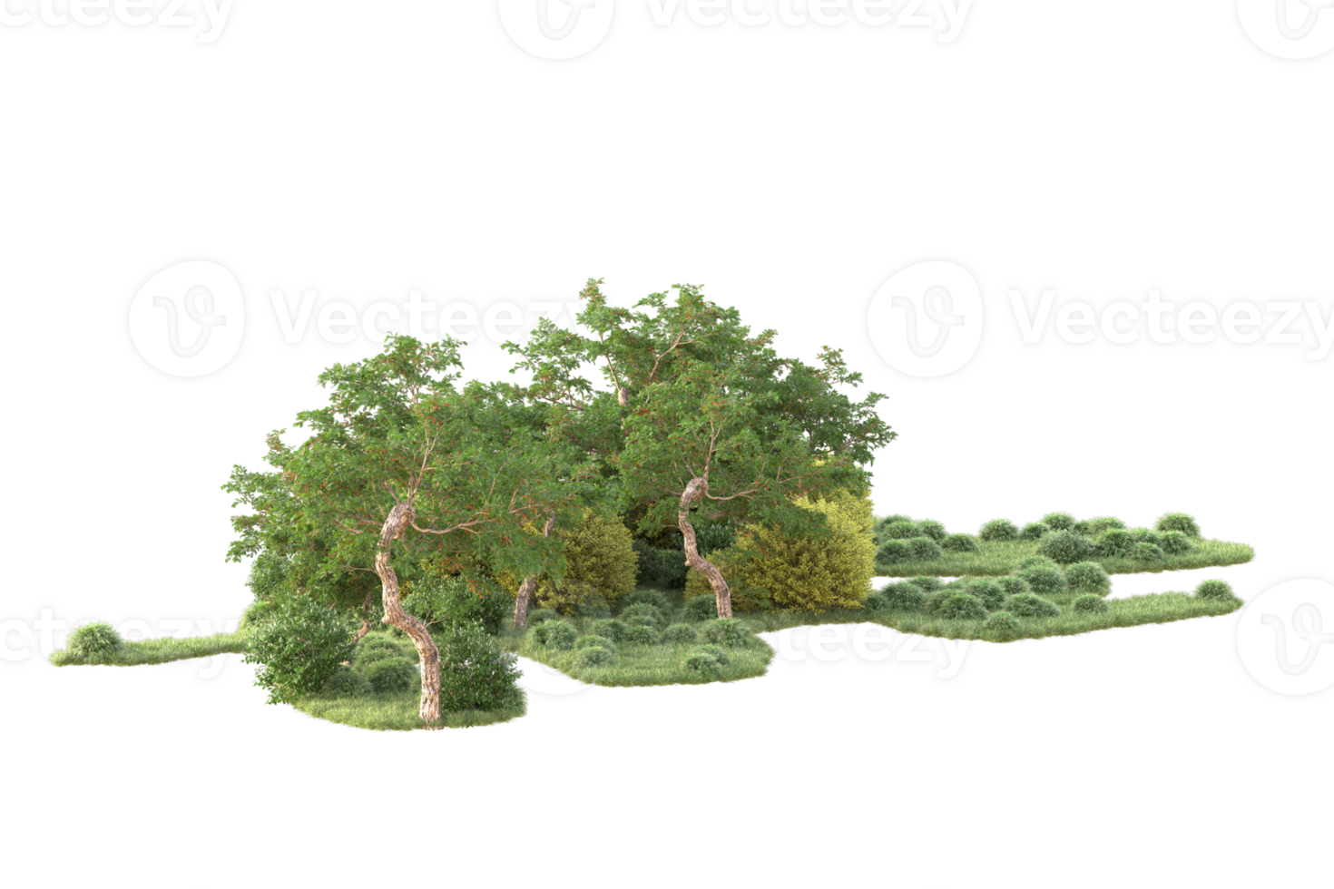 Tropical forest isolated on transparent background. 3d rendering - illustration png